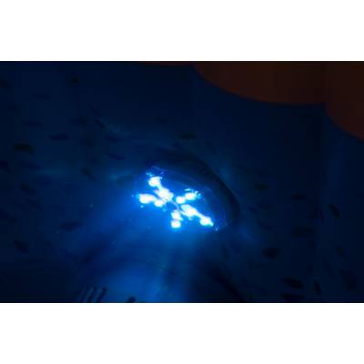 LAMPKA LED NA BATERIE DO SPA JACUZZI - BESTWAY 60303