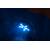 LAMPKA LED NA BATERIE DO SPA JACUZZI - BESTWAY 60303
